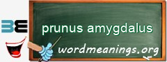 WordMeaning blackboard for prunus amygdalus